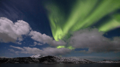 Into the Arctic - Lofoten