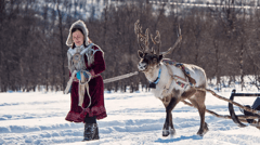 Reindeer Safari - Saariselkä