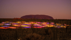 Field of Light - Uluru 