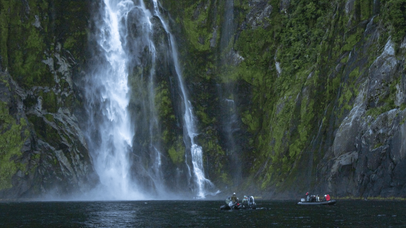 Get up close to all the action when you head out with your guide in the Zodiac's