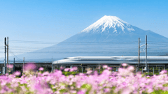 Bullet Train, Japan