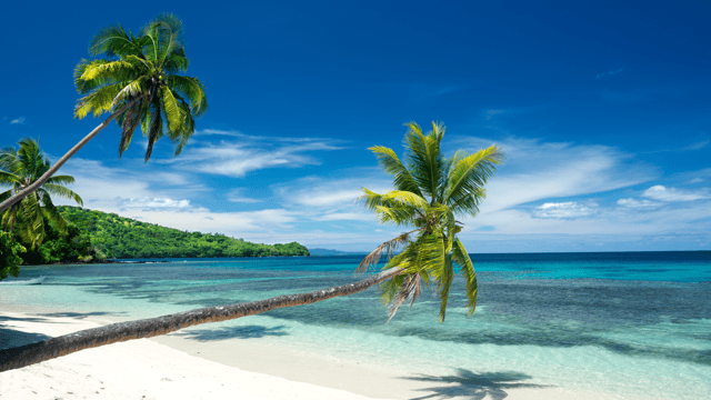 South Pacific Paradise Cruise