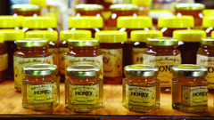 Visit Clifford's Honey Farm for a tour and tasting