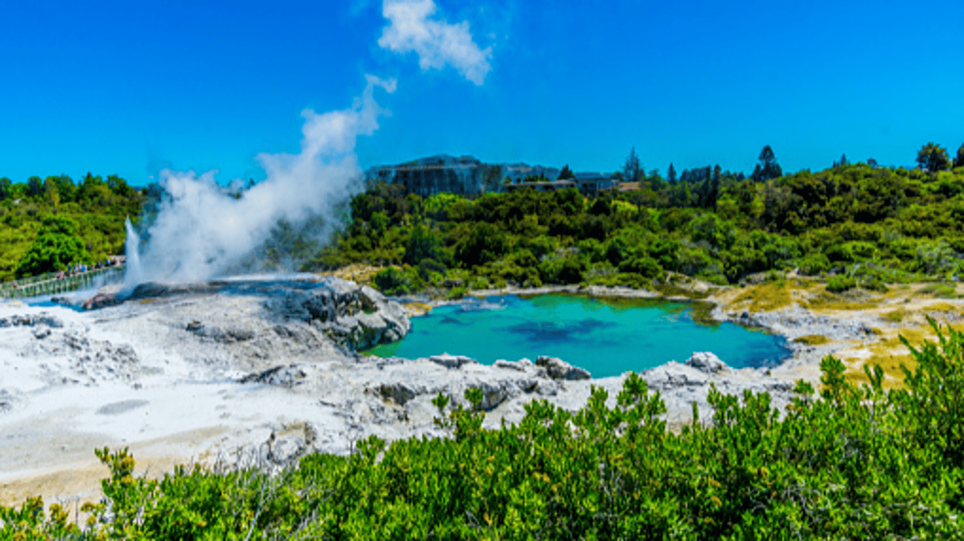 Rotorua Geyser & Mud Pools 