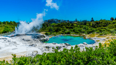 Rotorua Geyser & Mud Pools 