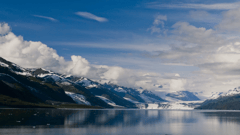 Scenic cruising College Fjord will bring you close to many glaciers—there’s even a spot where you can see eight at once. Your chances of watching ice thunder into the water is high, as the Prince William Sound is one of the most active areas for calving.