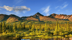 Denali National Park
