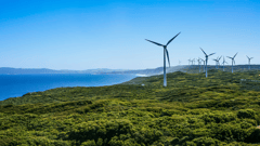 Wind Turbines in Albany