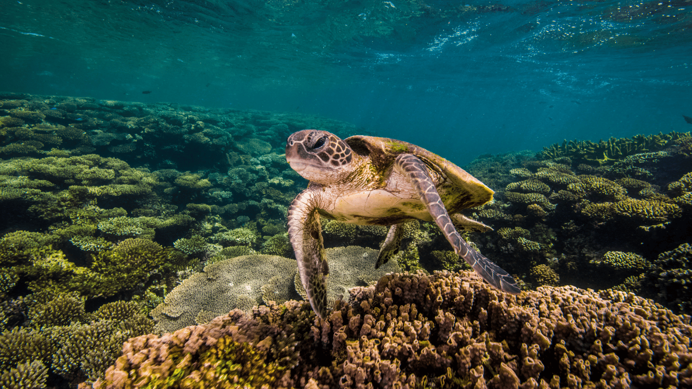 Exmouth, Ningaloo Reef