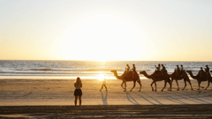 Broome