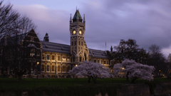 Dunedin, New Zealand