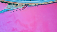 See the bubblegum-pink brilliance of Hutt Lagoon