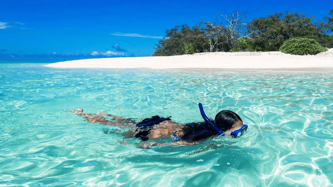 Snorkel right off the beach at Heron Island