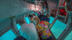 Why not book the I-Spy semi-sub, to view the marine line if you don't want to get wet (own expense)