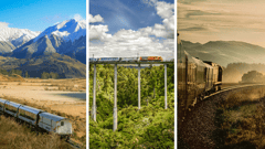 TranzAlpine / Northern Explorer / Coastal Pacific
