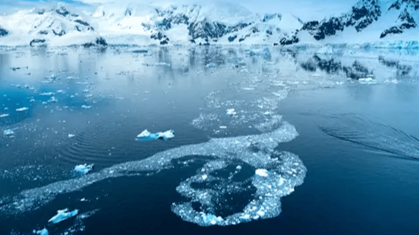 See stunning scenery at every turn while doing a scenic cruise in the Antarctic Peninsula