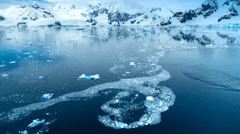 See stunning scenery at every turn while doing a scenic cruise in the Antarctic Peninsula