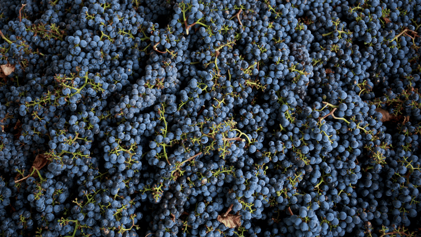 Yarra Valley Wineries 