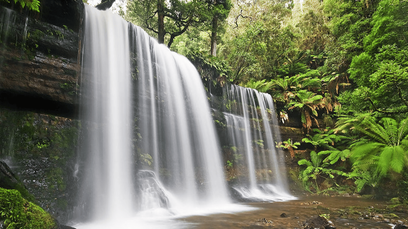 Russell Falls 