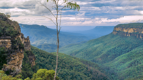 Blue Mountains Valley 