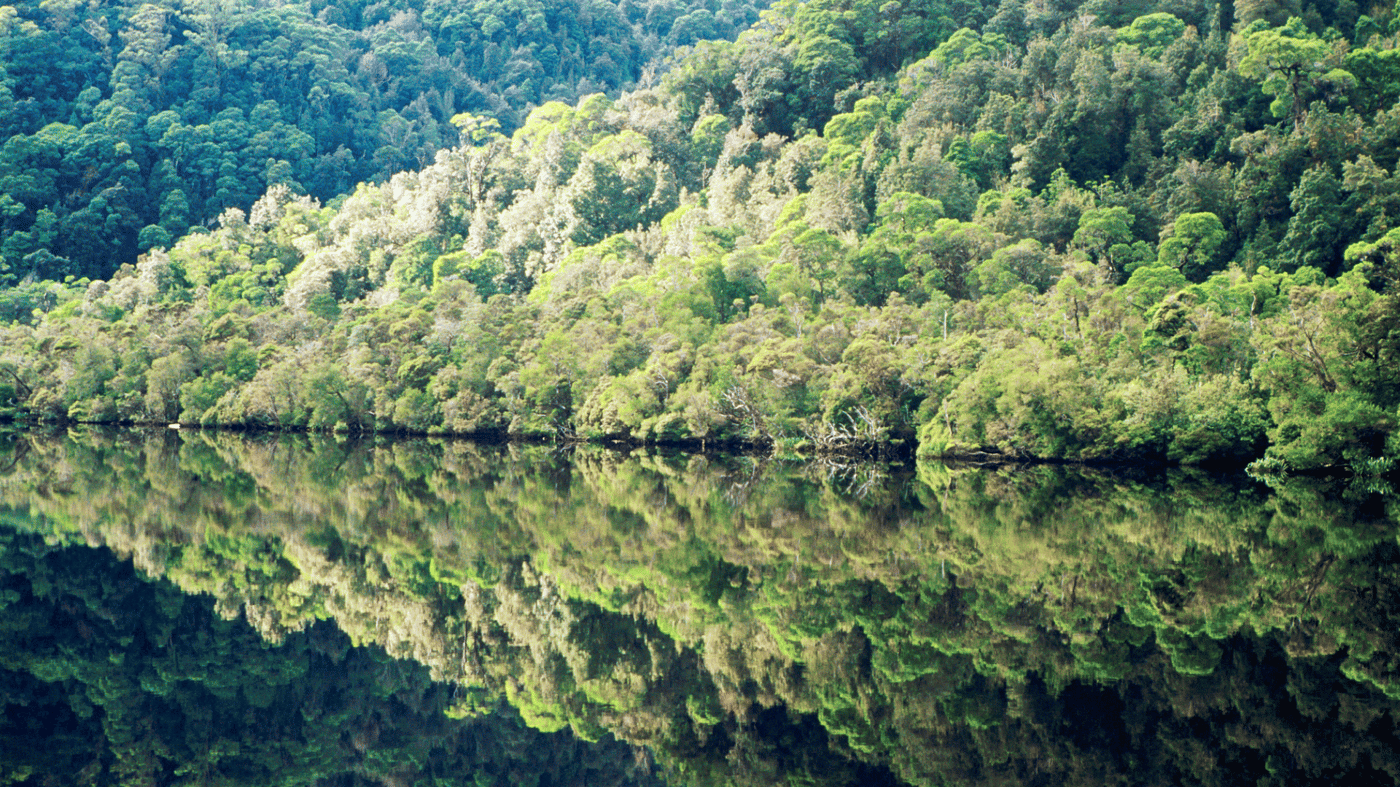Reflections on the water, Gordon River, Strahan