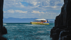 Bruny Island Cruise