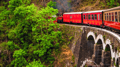 Indian Toy Train