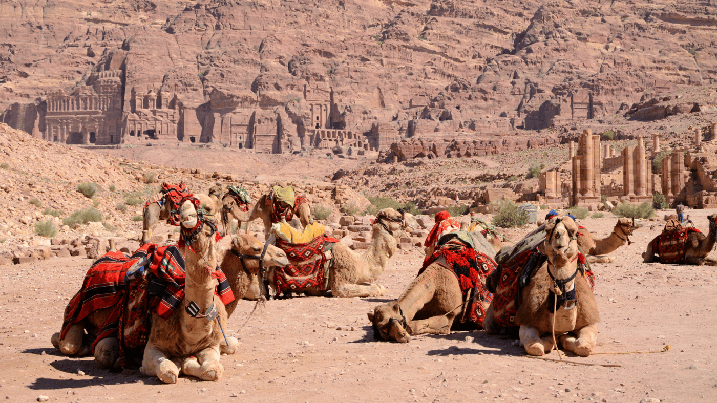 Camel ride Petra