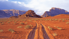 Wadi rum