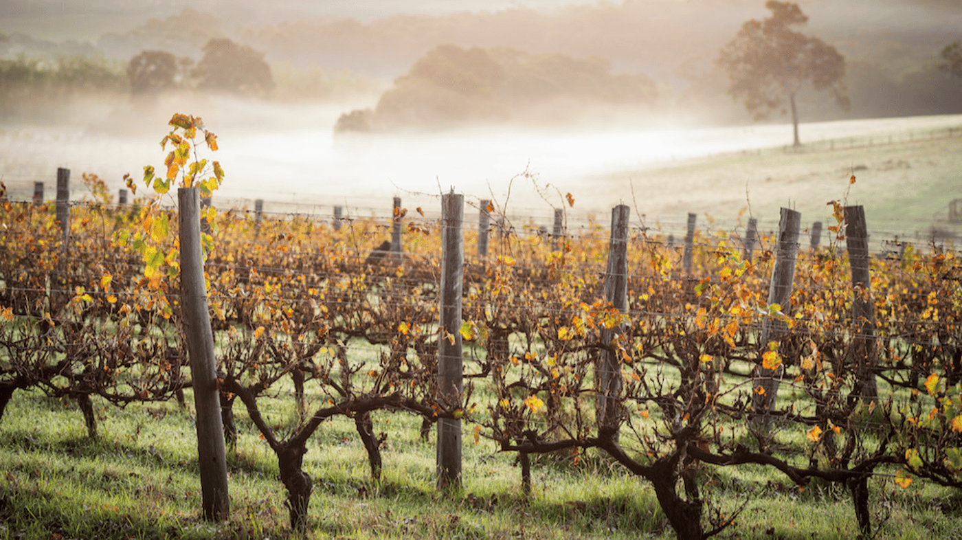 Margaret River