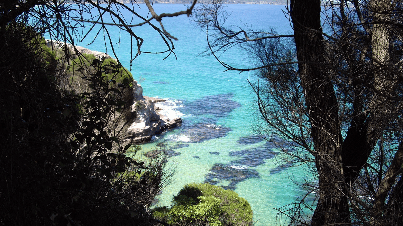Eden, Australia