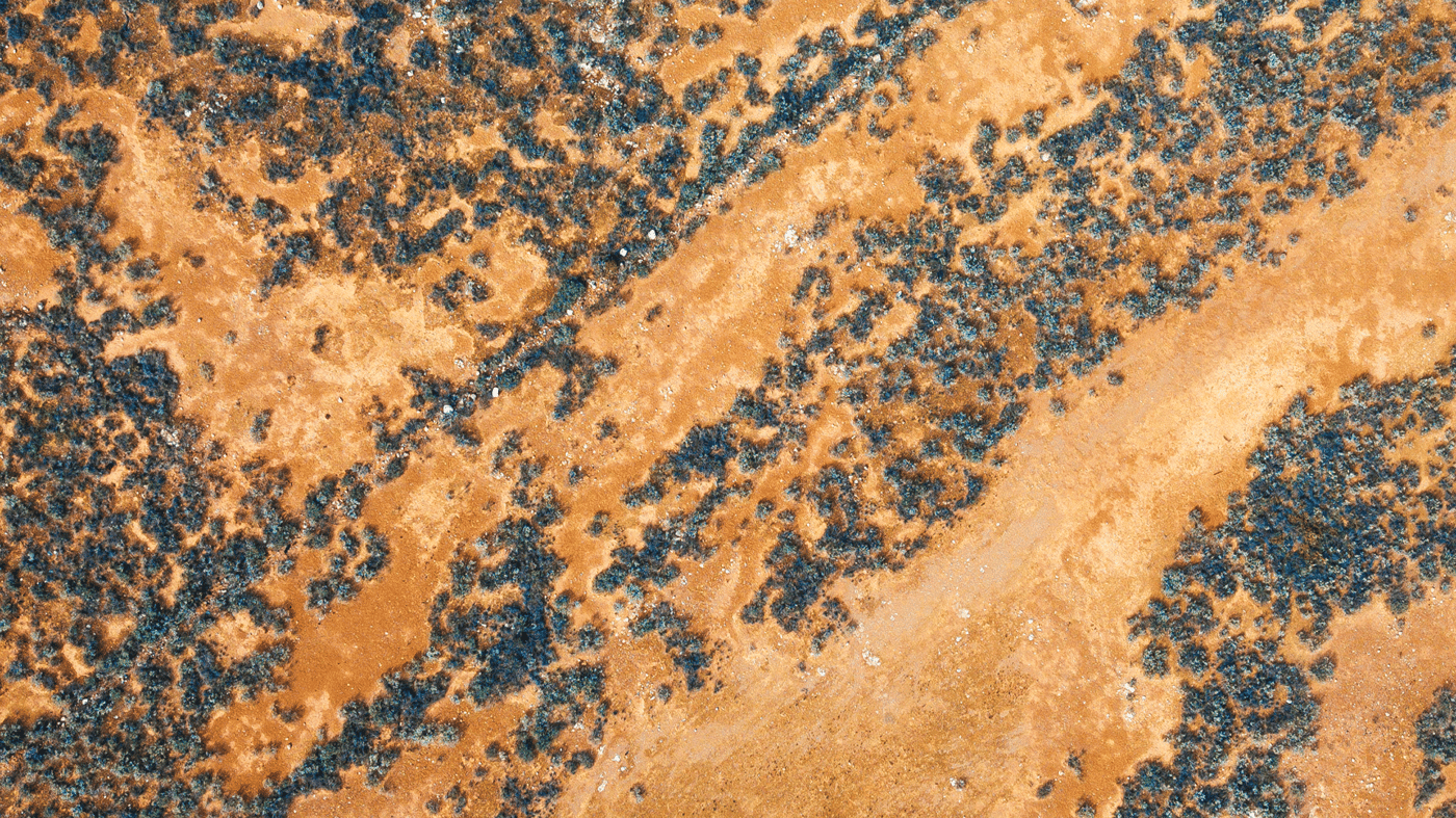 Cross the famous Nullarbor Plain