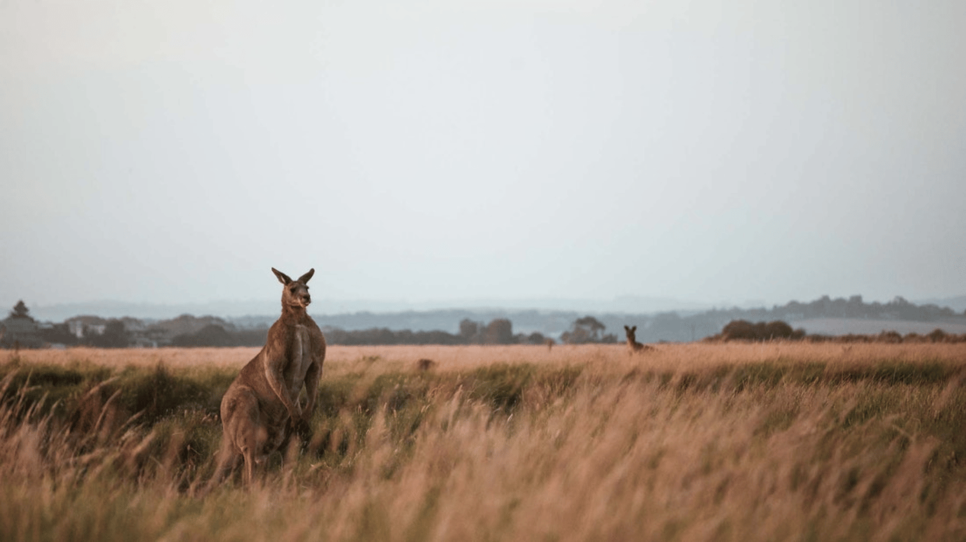 Nullarbor Plains, Australia