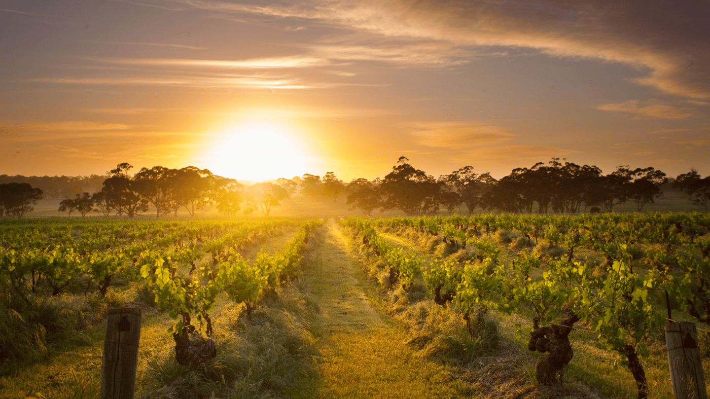 Barossa Valley, Australia 