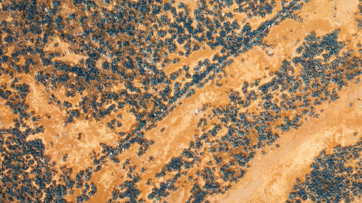 Nullarbor Plains, Australia 