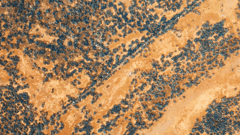 Nullarbor Plains, Australia 