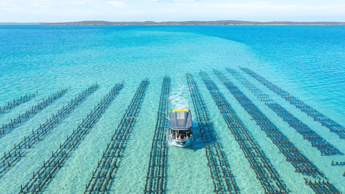 Coffin Bay Experience