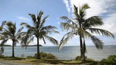 Noumea