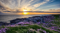 Scotland