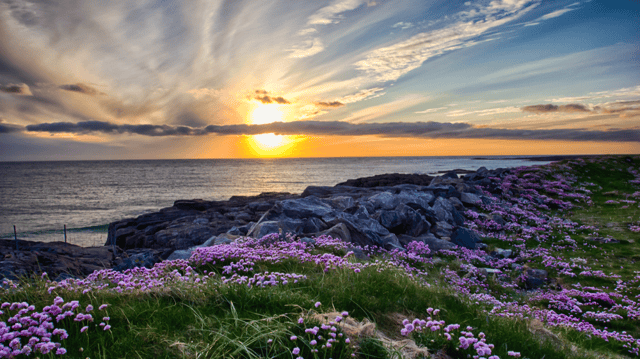 Explore Scotland & Ireland
