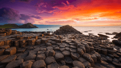 Ireland Giant