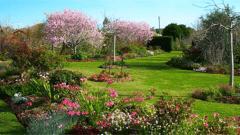 Brindabella Country Gardens