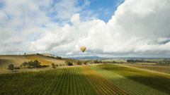Yarra Valley
