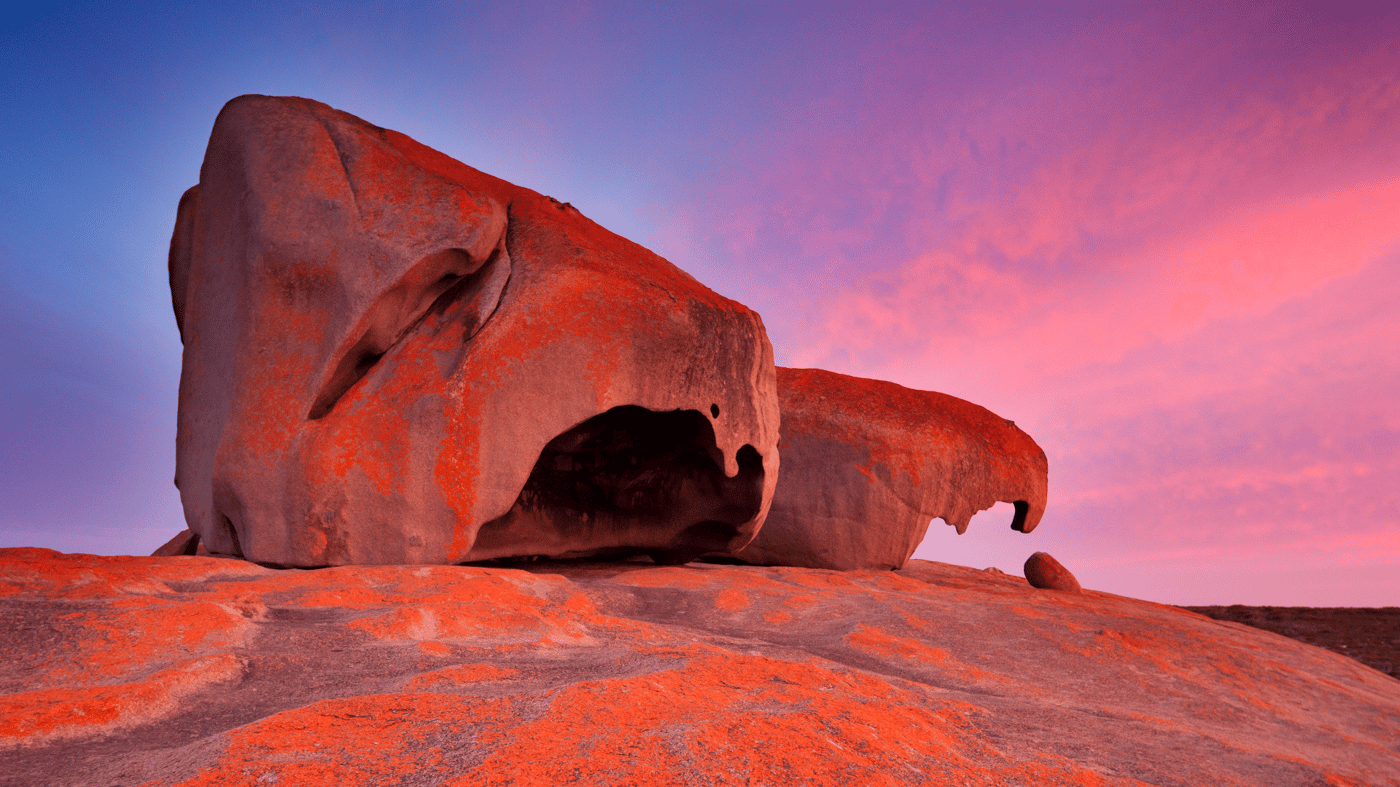Spend two days touring Kangaroo Island — featuring a fabulous itinerary of wildlife encounters and gourmet delights!