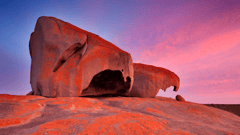 Spend two days touring Kangaroo Island — featuring a fabulous itinerary of wildlife encounters and gourmet delights!