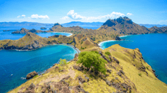 Komodo Island, Indonesia
