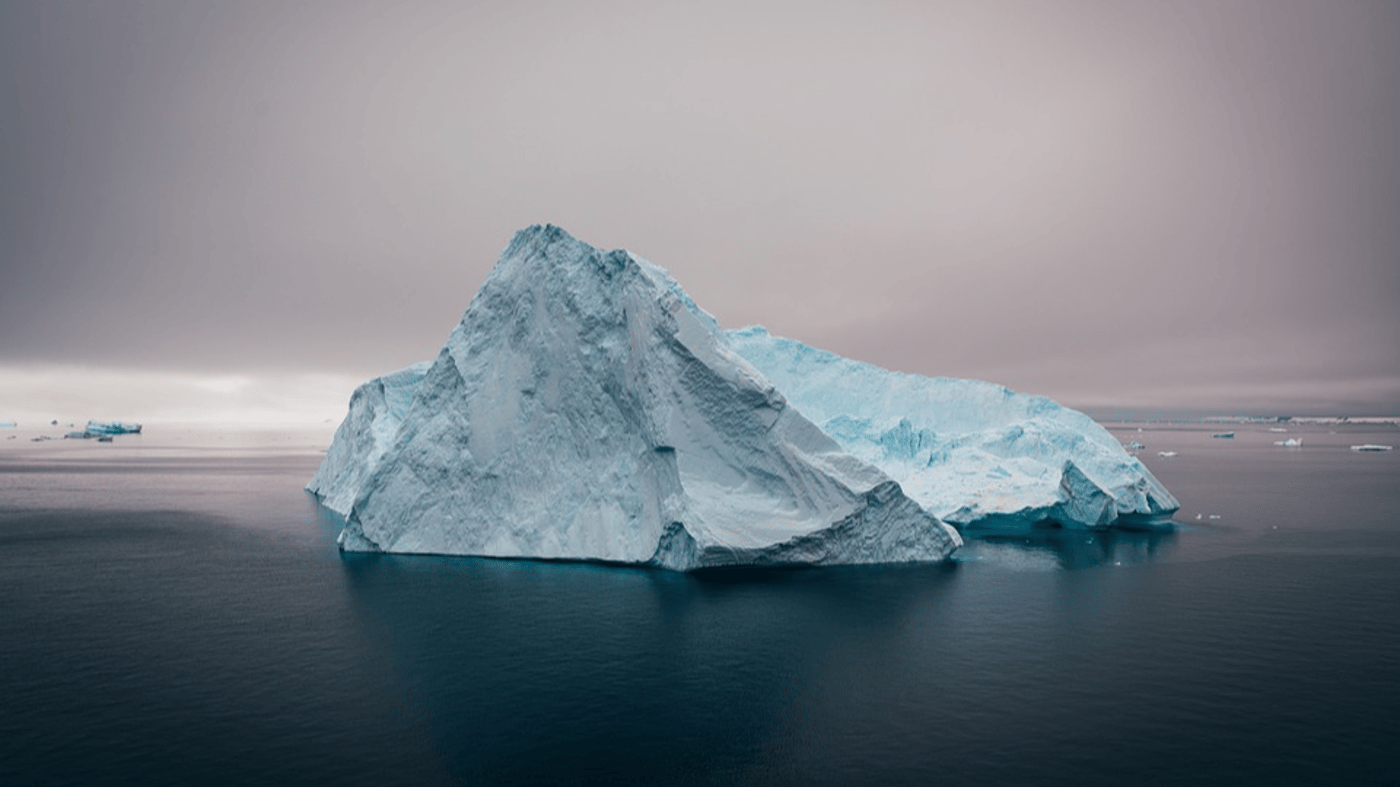 Cruise Antarctic Peninsula 