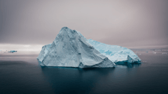 Cruise Antarctic Peninsula 