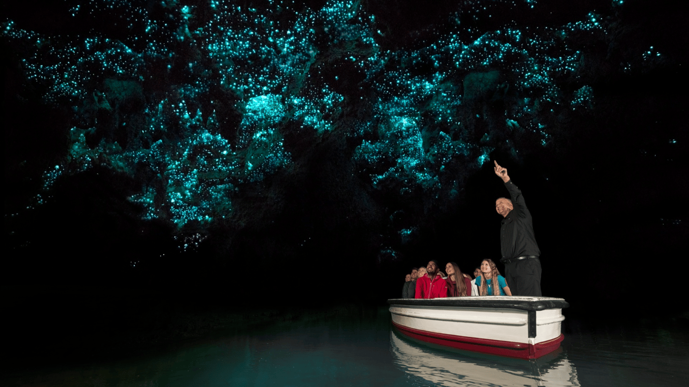Waitomo Caves Tour