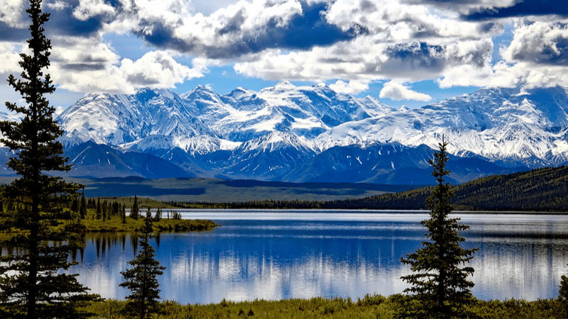 Denali National Park